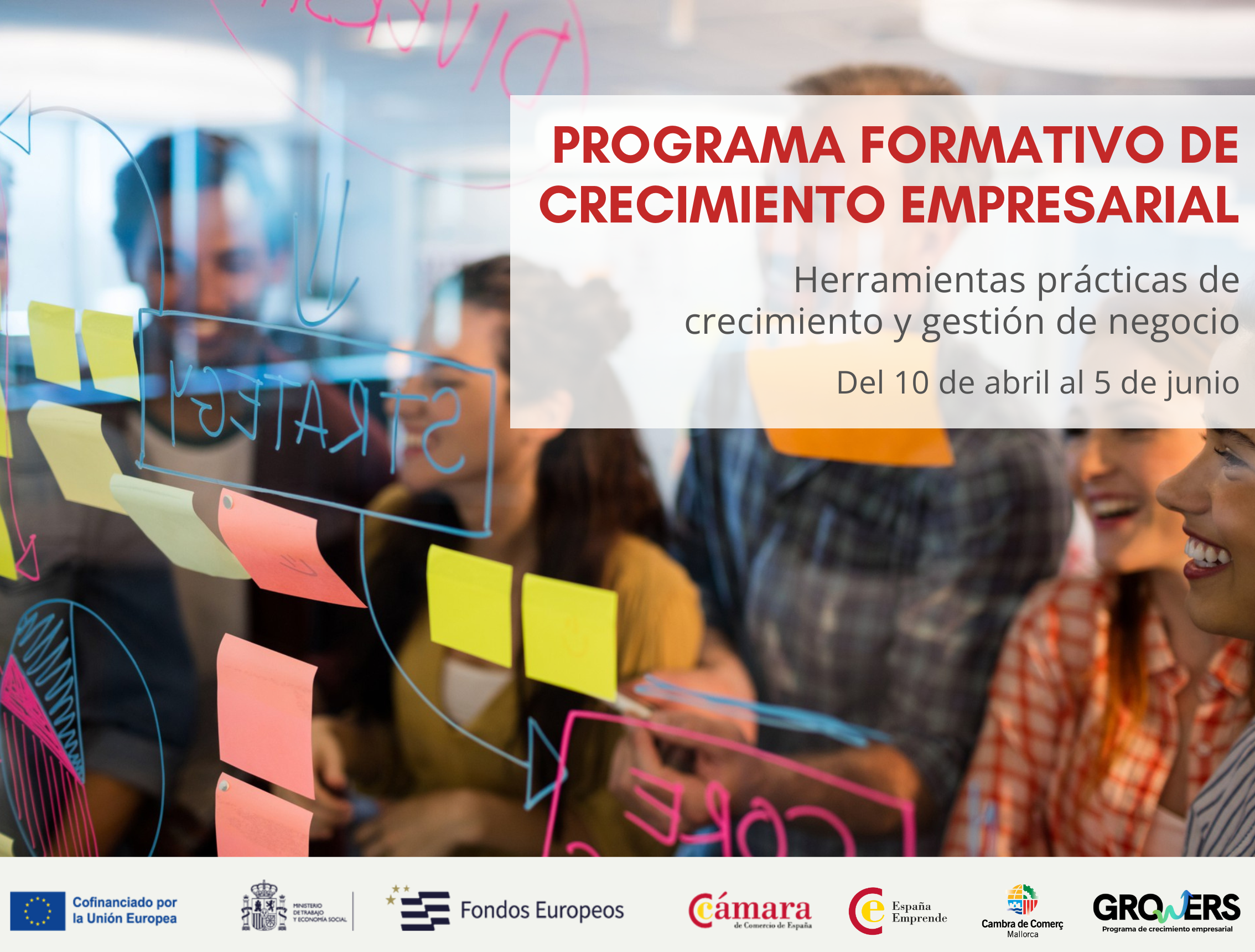 Programa formativo de crecimiento empresarial 